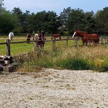 Le Gite De La Ferme Portbail Luaran gambar