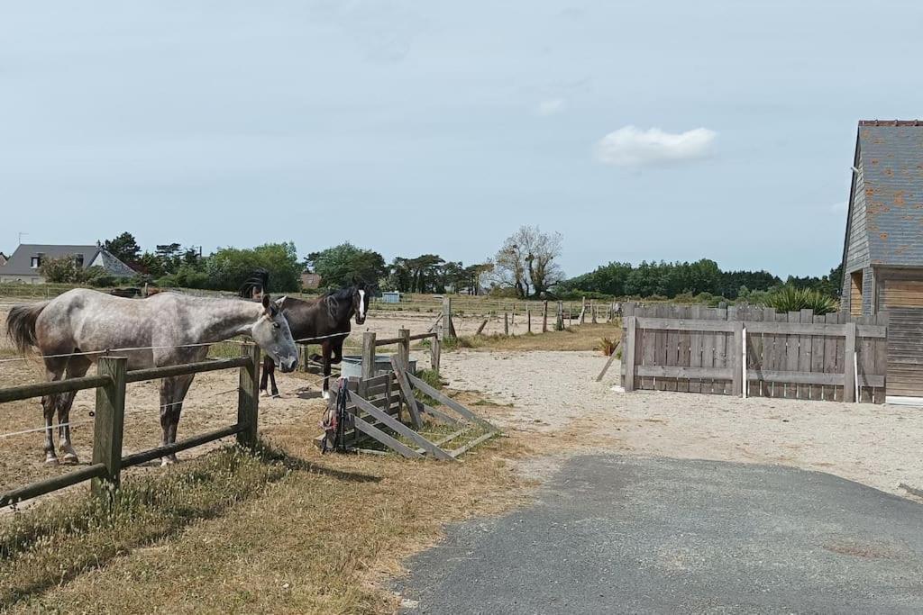 Le Gite De La Ferme Portbail Luaran gambar